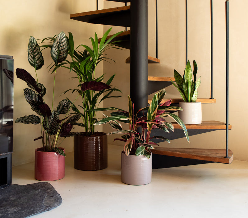 Fortuna Handmade Pot - Various Sizes & Colours