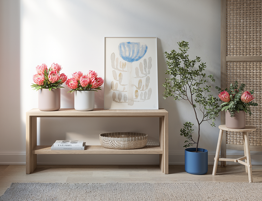 Juno Pot - Various Sizes & Colours