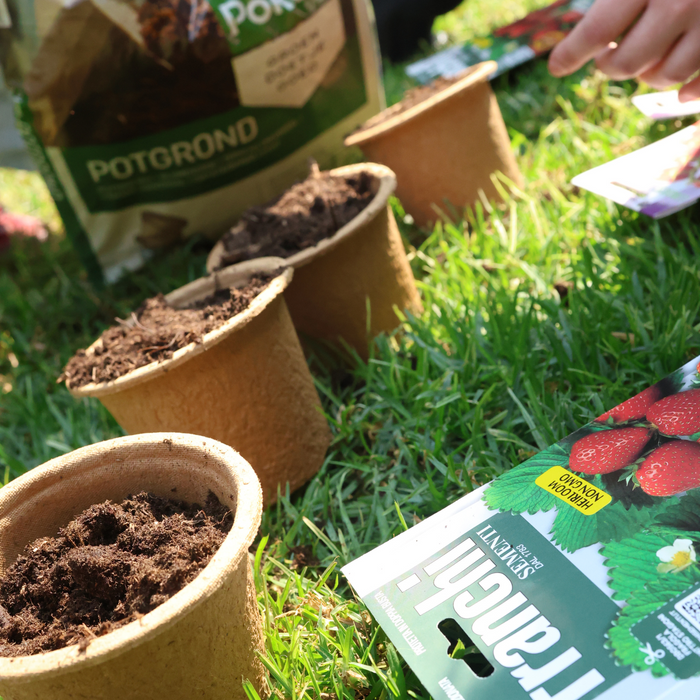 Little Sprouts Seed Growing Set - 2 Colours & Seed Options