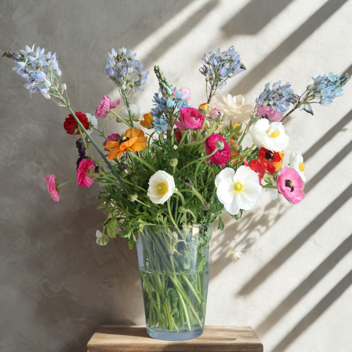 Essential Conical Vase - Various Sizes