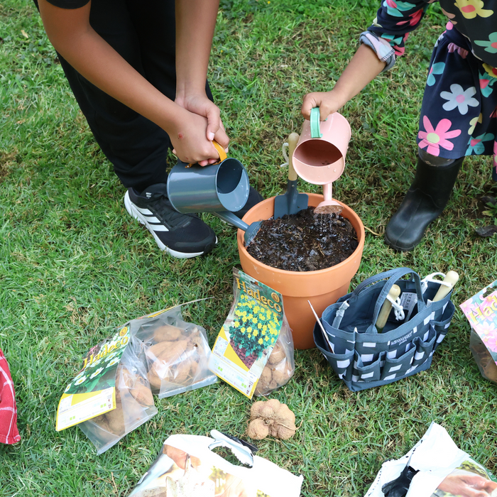 Little Gardeners – Dahlia Growing Bundle