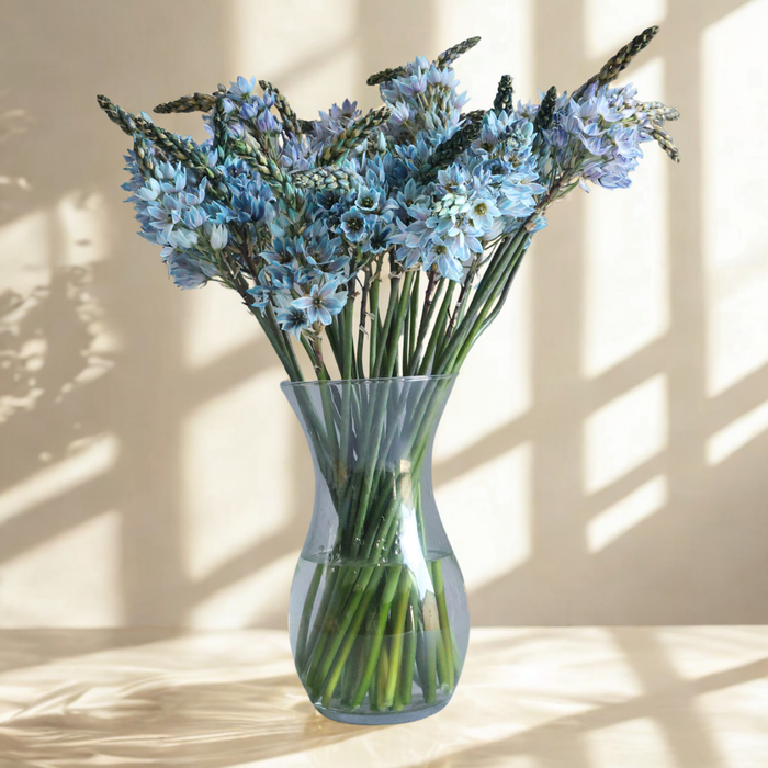 Essential Tuck Vase - H25