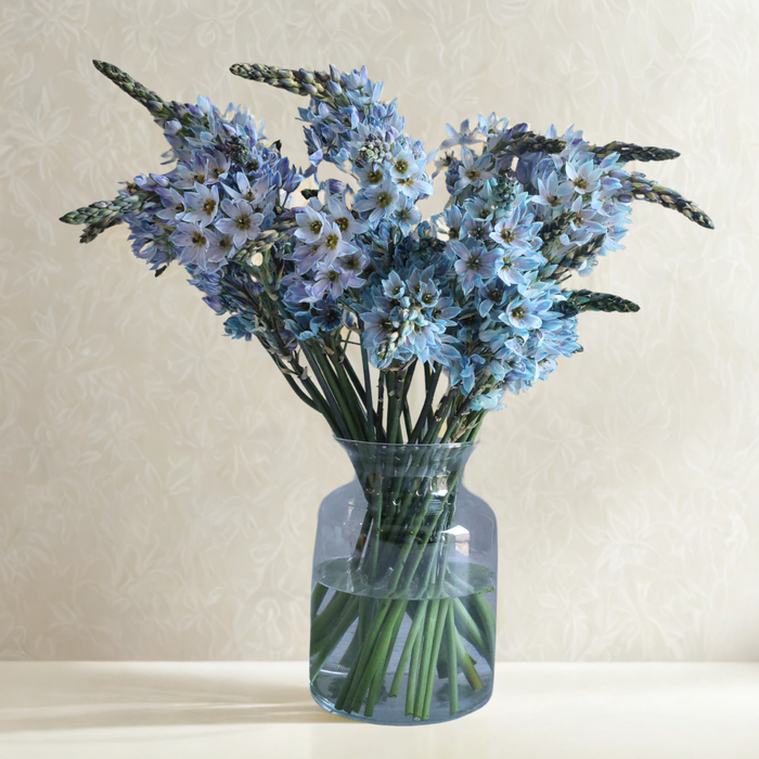 Pot Bose Vase D11.7/14 x H19.5cm