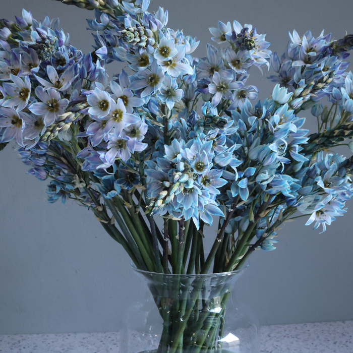 Pot Bose Vase D11.7/14 x H19.5cm