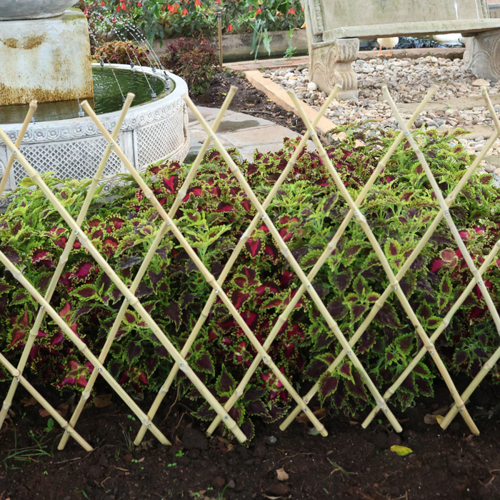 Bamboo Fence For Plants