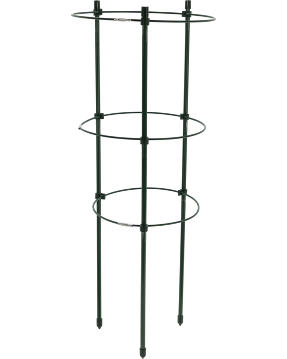 Plant Supports - Various Sizes