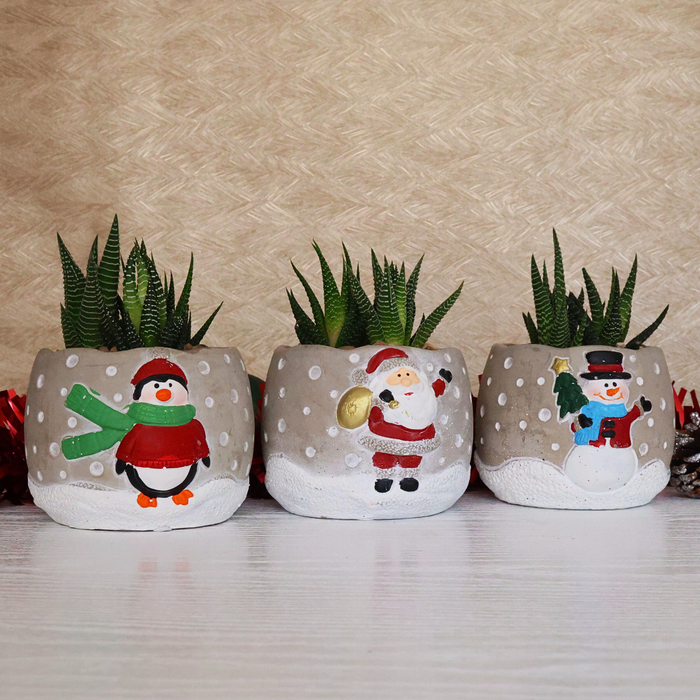Festive Potted Succulent – Set of 3 Concrete Pots “X-mas Fun” - D9.8cm