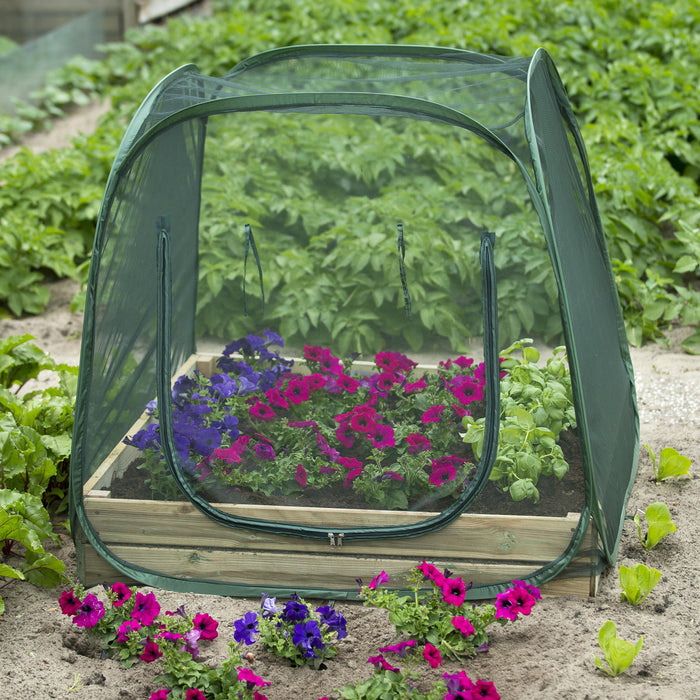 Pop-up cold raised bed frame greenhouse