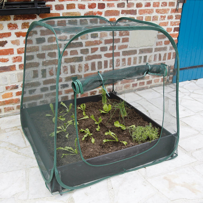 Pop-up cold raised bed frame greenhouse