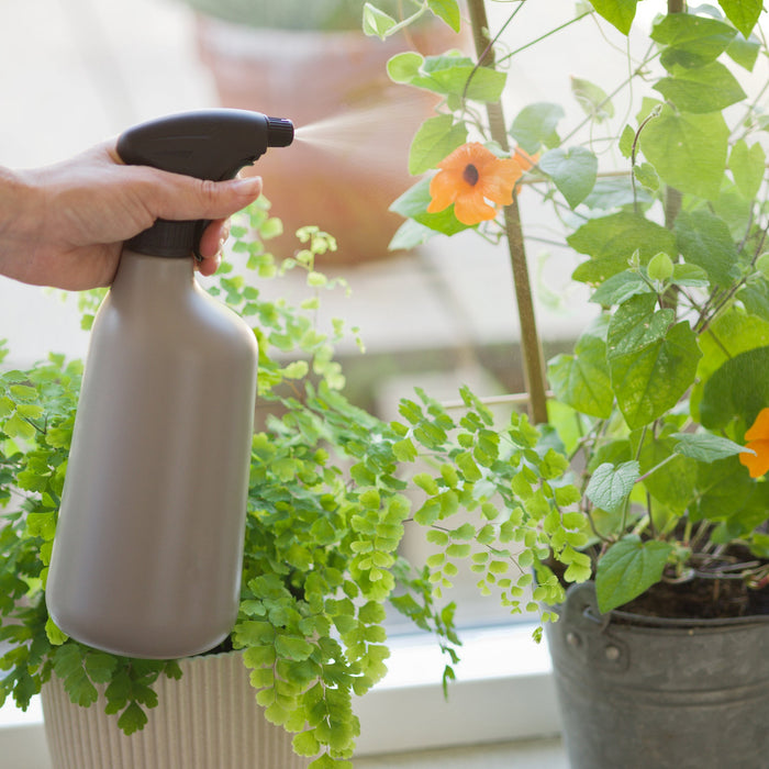 Plant sprayer - Various Colour & Size Options