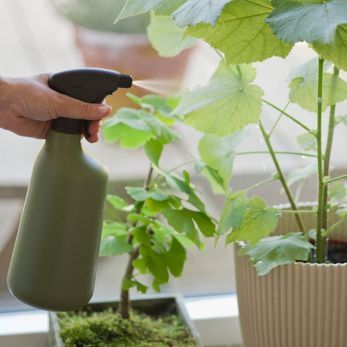 Plant sprayer - Various Colour & Size Options