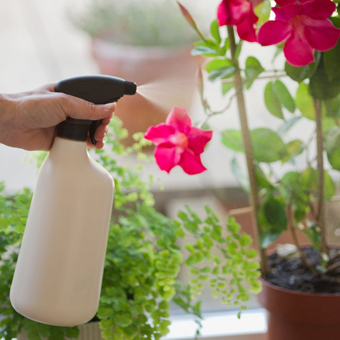 Plant sprayer - Various Colour & Size Options