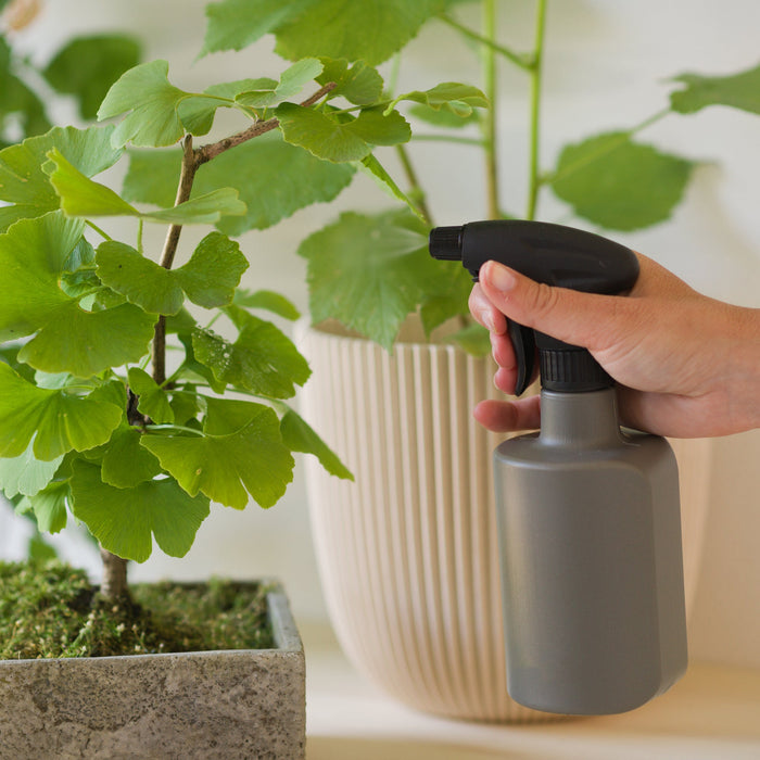 Plant sprayer - Various Colour & Size Options