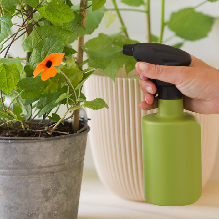 Plant sprayer - Various Colour & Size Options