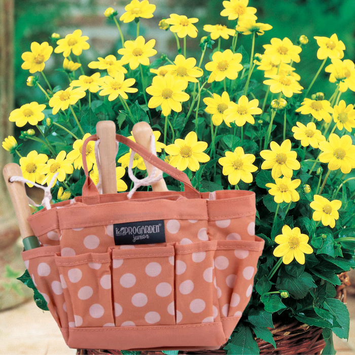 Little Buddies Dahlia Growing Set - 2 Colours & 5 Dahlia Options