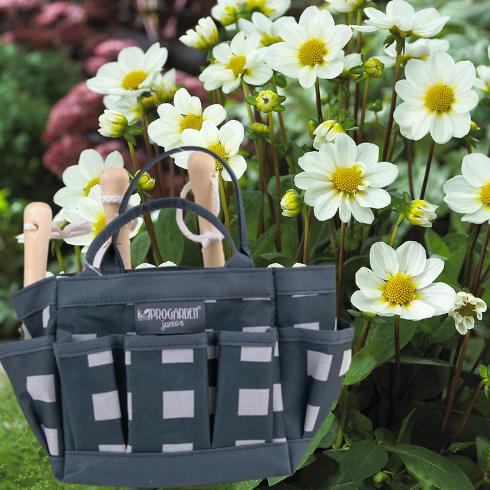 Little Buddies Dahlia Growing Set - 2 Colours & 5 Dahlia Options