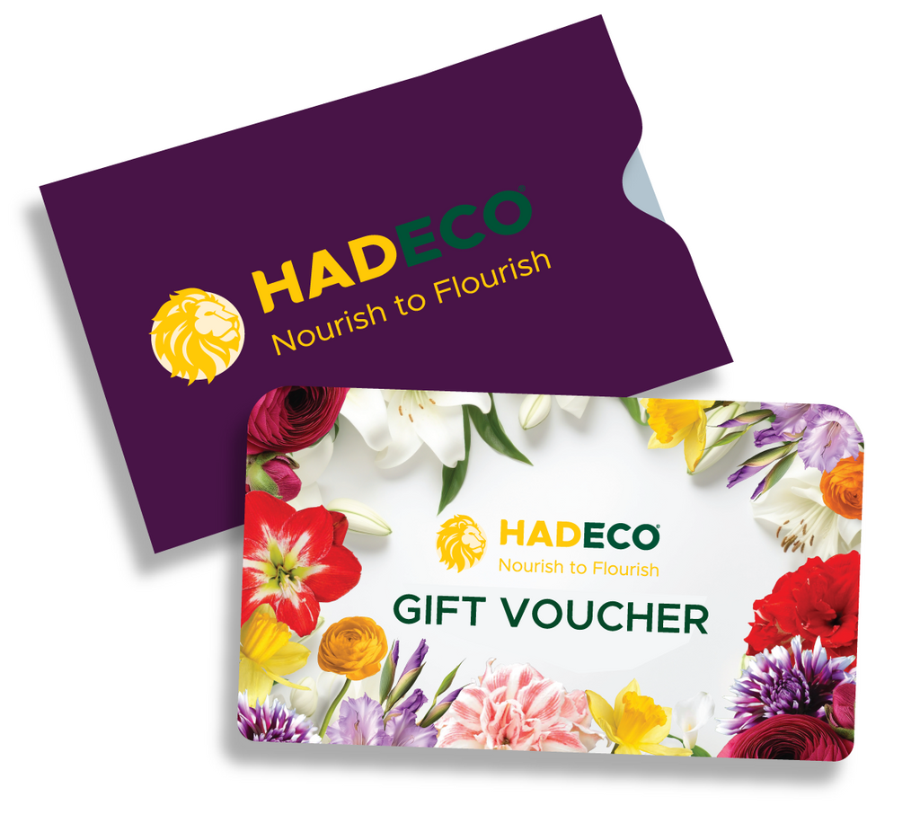 Hadeco.co.za, your blooming gardening journey starts here.
