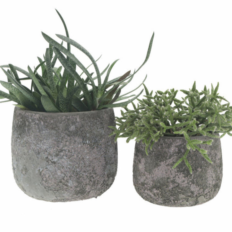 Stoney Creek Pot