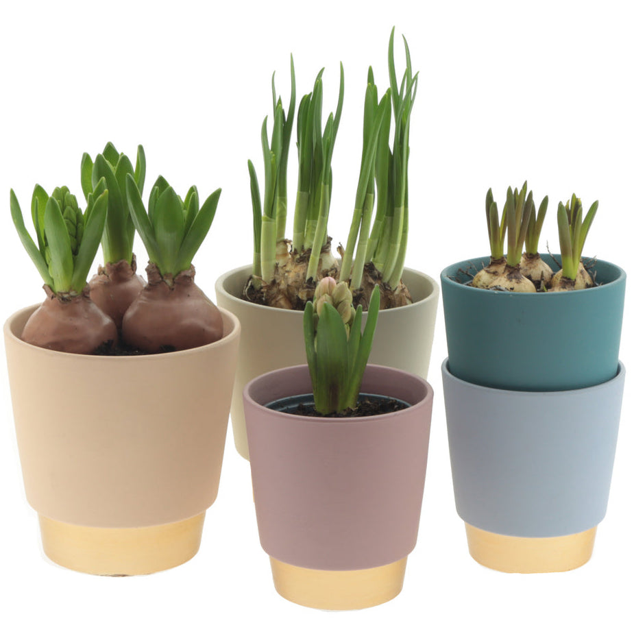 Elegance Pot Range