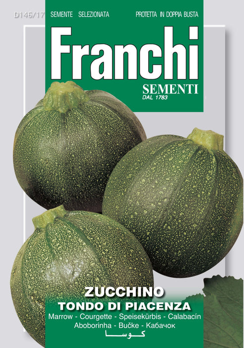 Zucchino Tondo di Piacenzo