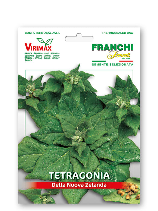 Tetragonia Della Nuova Zelanda
