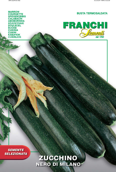 Zucchino Nero di Milano