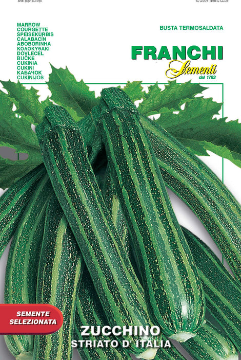 Zucchino Striato I’talia
