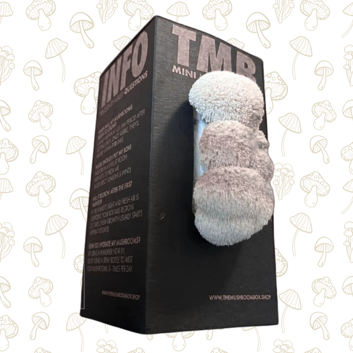 Farmers Favorite - Lionsmane Mushroom Box