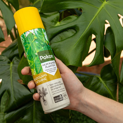 Pokon - Leafshine - 250ml