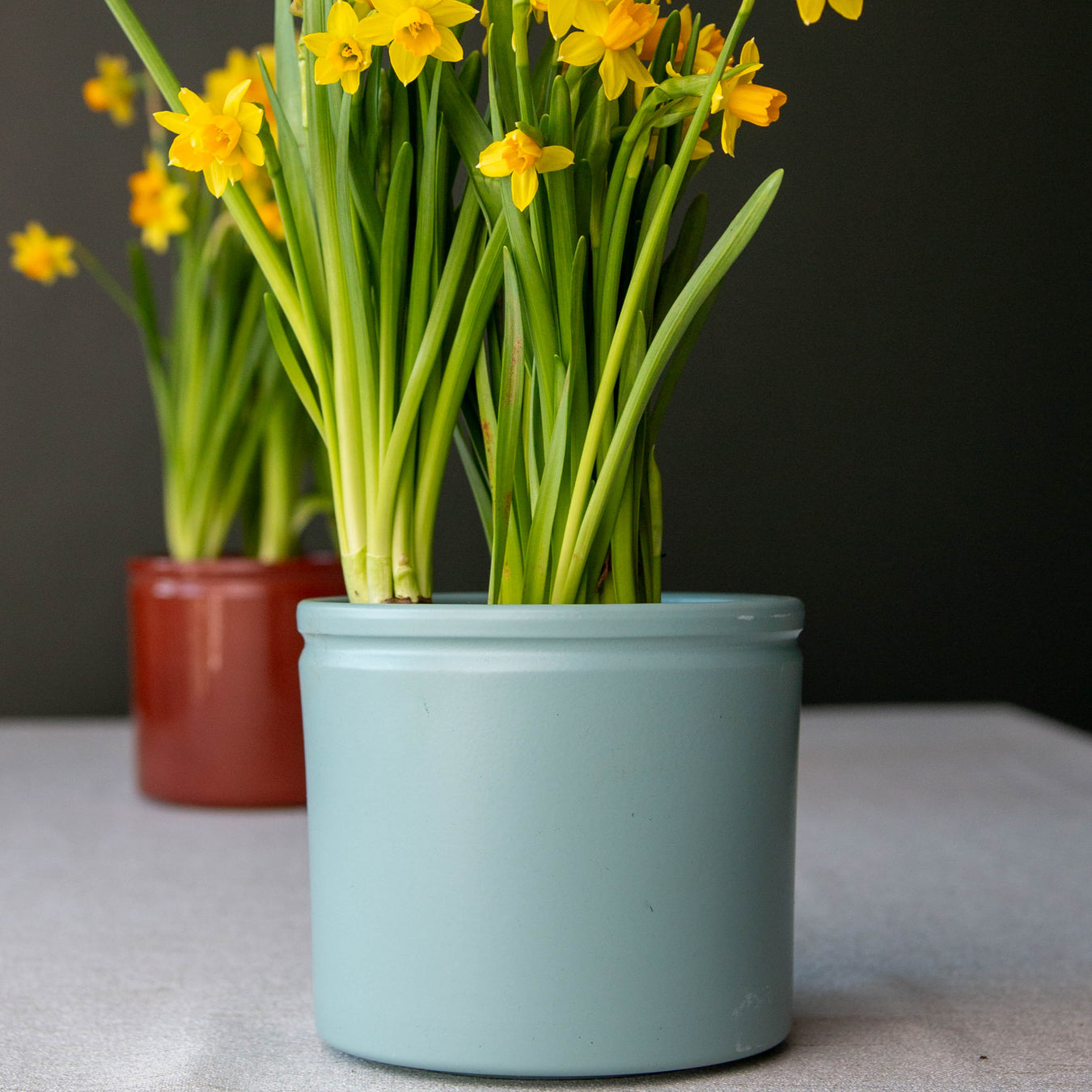 Lucca Pot Range