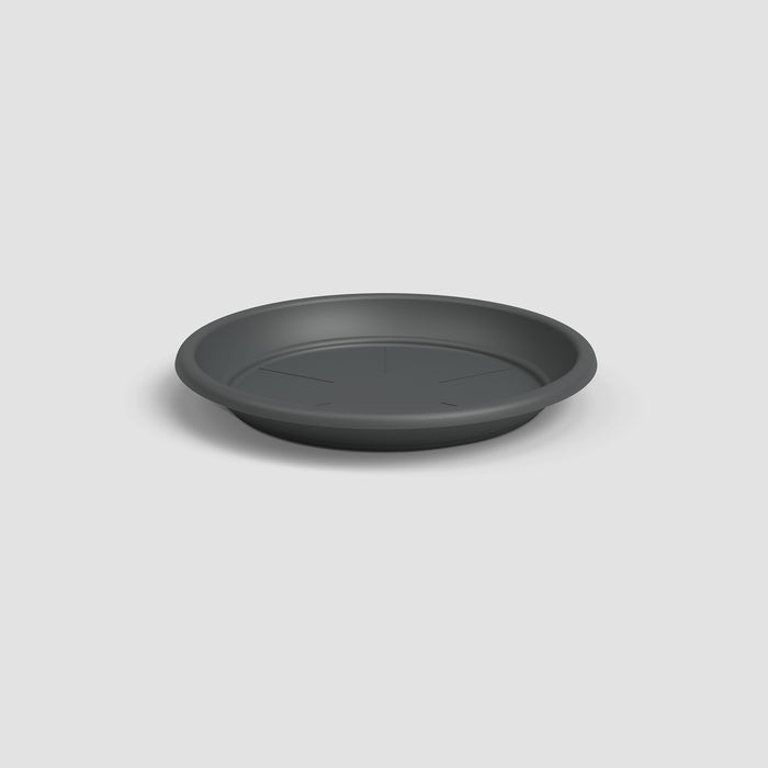 Madagascar To Grow Pot - D18 - Anthracite