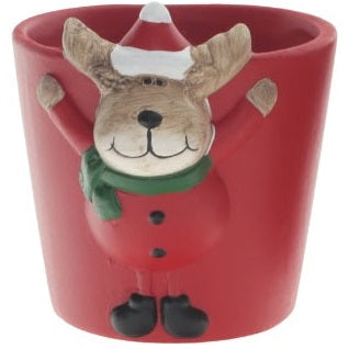 Festive Potted Succulent – Ceramic Molly & Bolly (Christmas Pots) - D7cm