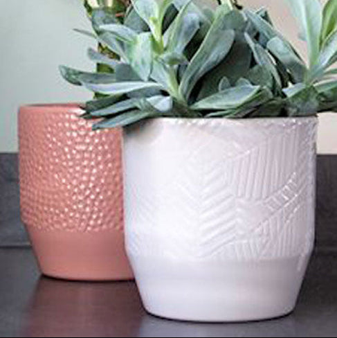 Pisa Pot Range