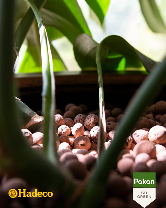 Pokon - Hydro Clay Pellets - 5L