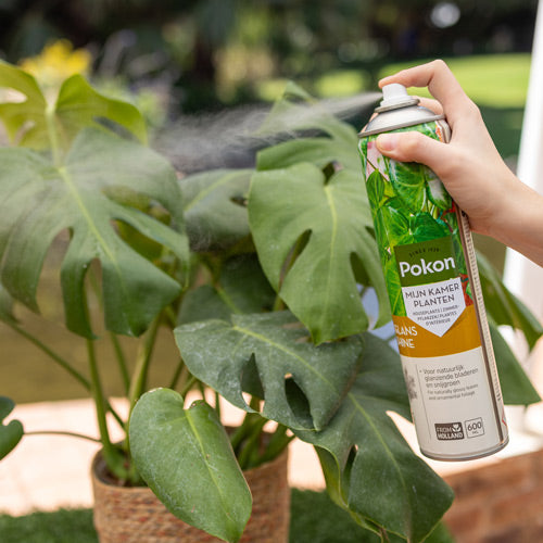 Pokon - Leafshine - 600ml