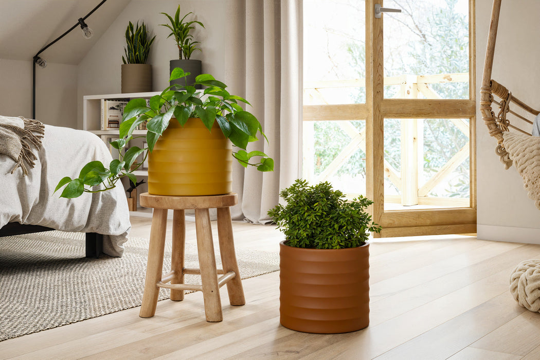 Handmade Ceramic Pot - Chloe Horizontal - MA Yellow