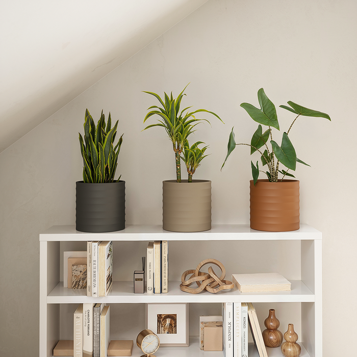 Handmade Ceramic Pot - Chloe Horizontal - MA Yellow