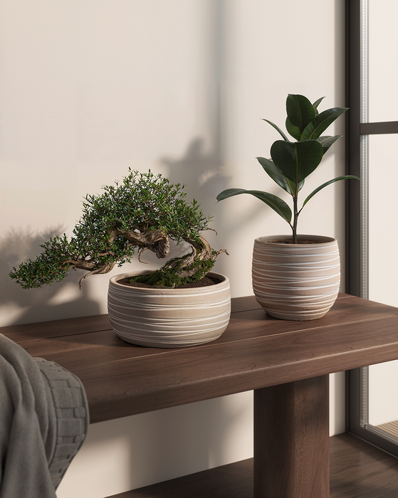 Handmade Ceramic Pot - Doris - Various Options