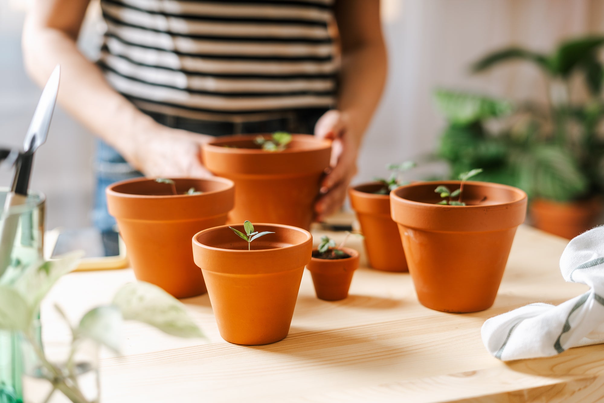 Pots & Vases — Hadeco.co.za