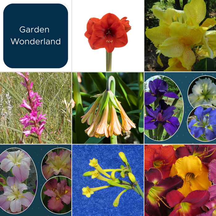 Garden Wonderland – January Edition