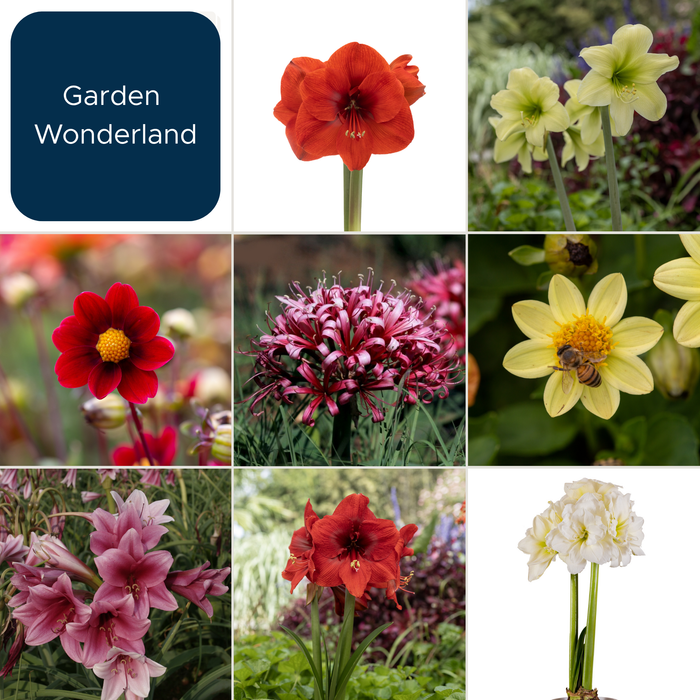 Garden Wonderland - December