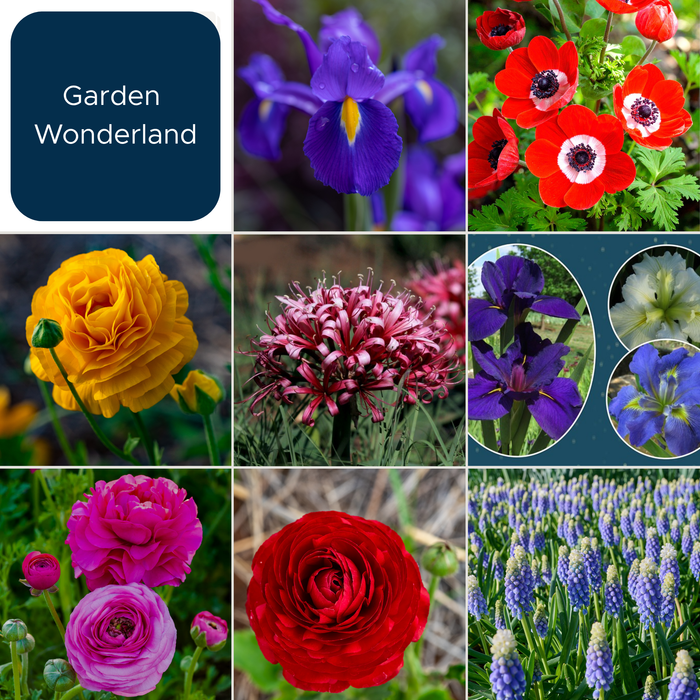 Garden Wonderland