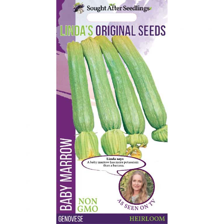 Vegetable Seeds