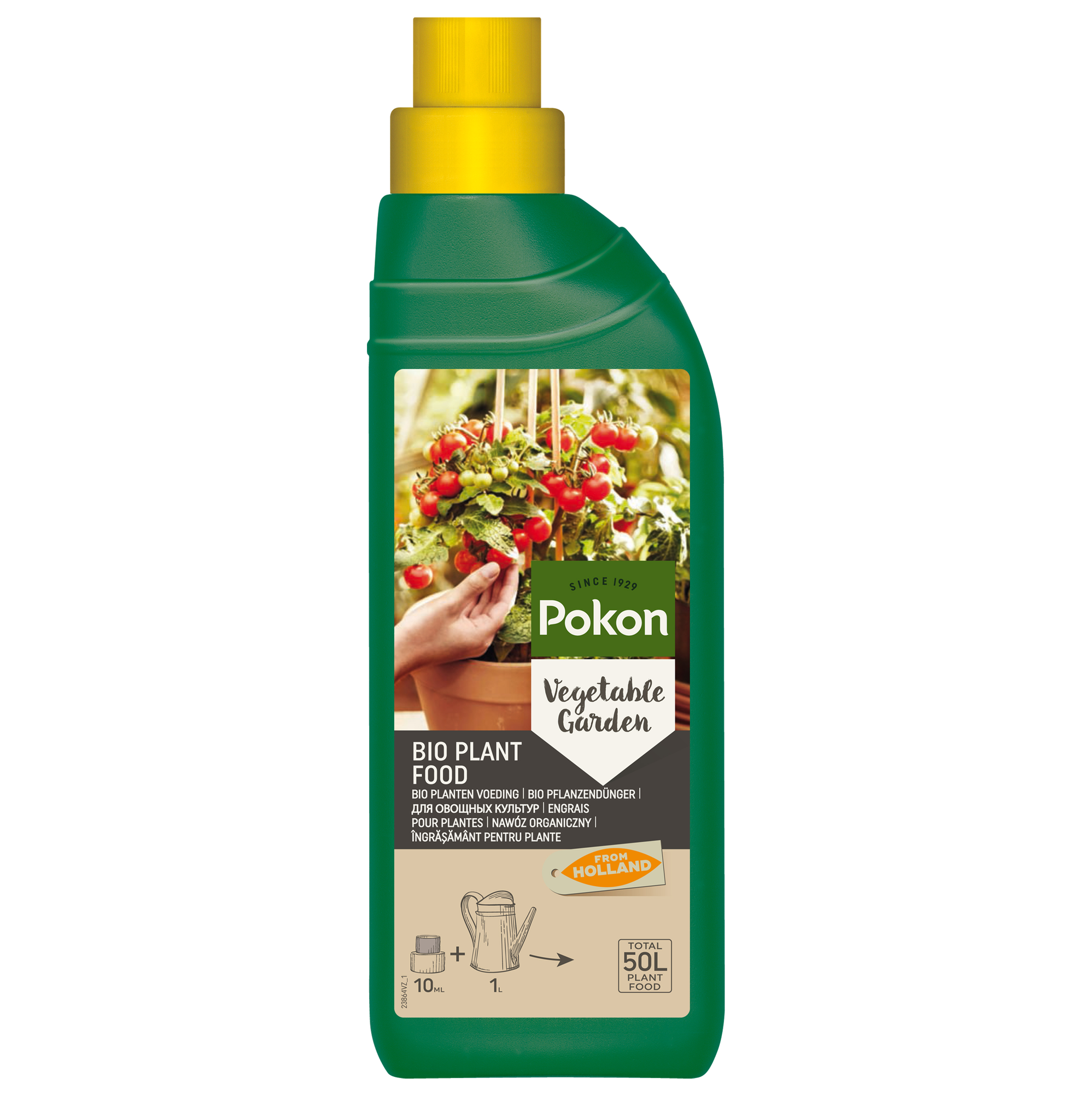 Hadeco.co.za, your blooming gardening journey starts here.