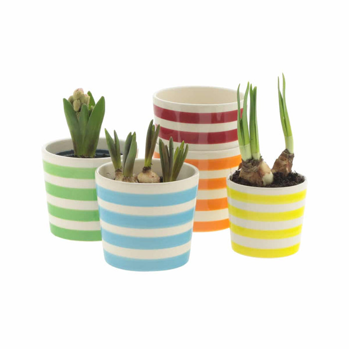 Ceramic Pot - Stripes - Assorted - 7cm_lifestyle