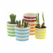 Ceramic Pot - Stripes - Assorted - 7cm_lifestyle