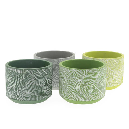 Concrete Pot Phao Assorted 9cm