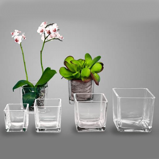glass pot plant Cubic Glass Pot