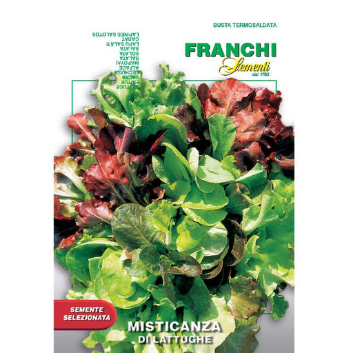 Lettuce-Mixed-Variety-768x768