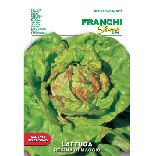 Lettuce-Regina-Di-Maggio-768x768